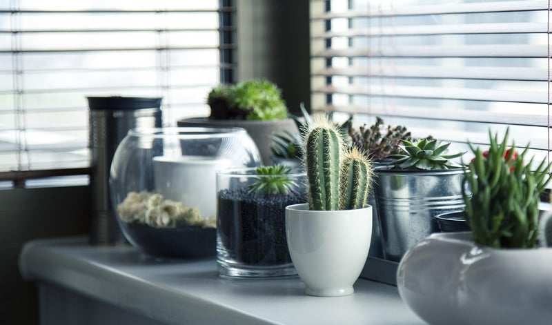 Hanging pots